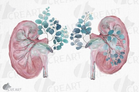 Blending Science and Aesthetics: The Rise of Blush Anatomical Kidneys with Eucalyptus in Modern Design