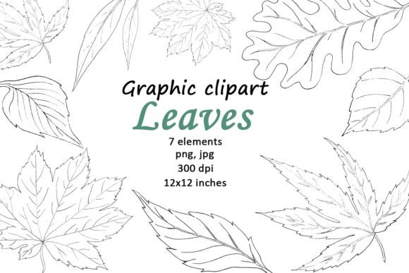 Unlocking Creativity: A Guide to High-Quality Leaves Graphic Clipart and Hand-Painted Digital Assets